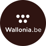 Wallonia Region